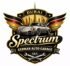 Spectrum German Auto Garage L.L.C